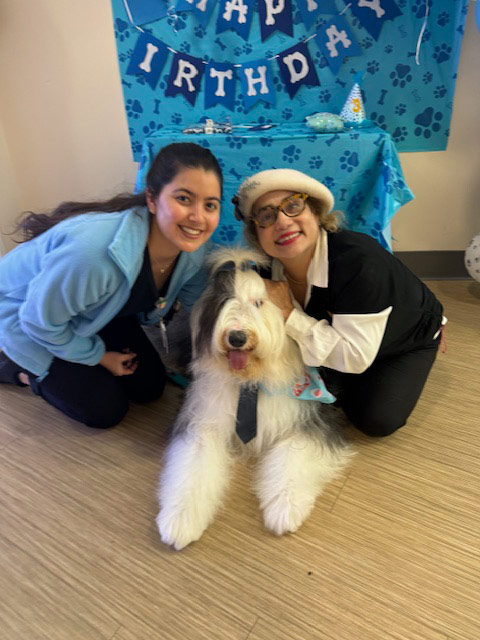 Thor Birthday Celebration at Mount Sinai Hospital - May 1, 2024 | Alexandra Ramos Therapy Animals
