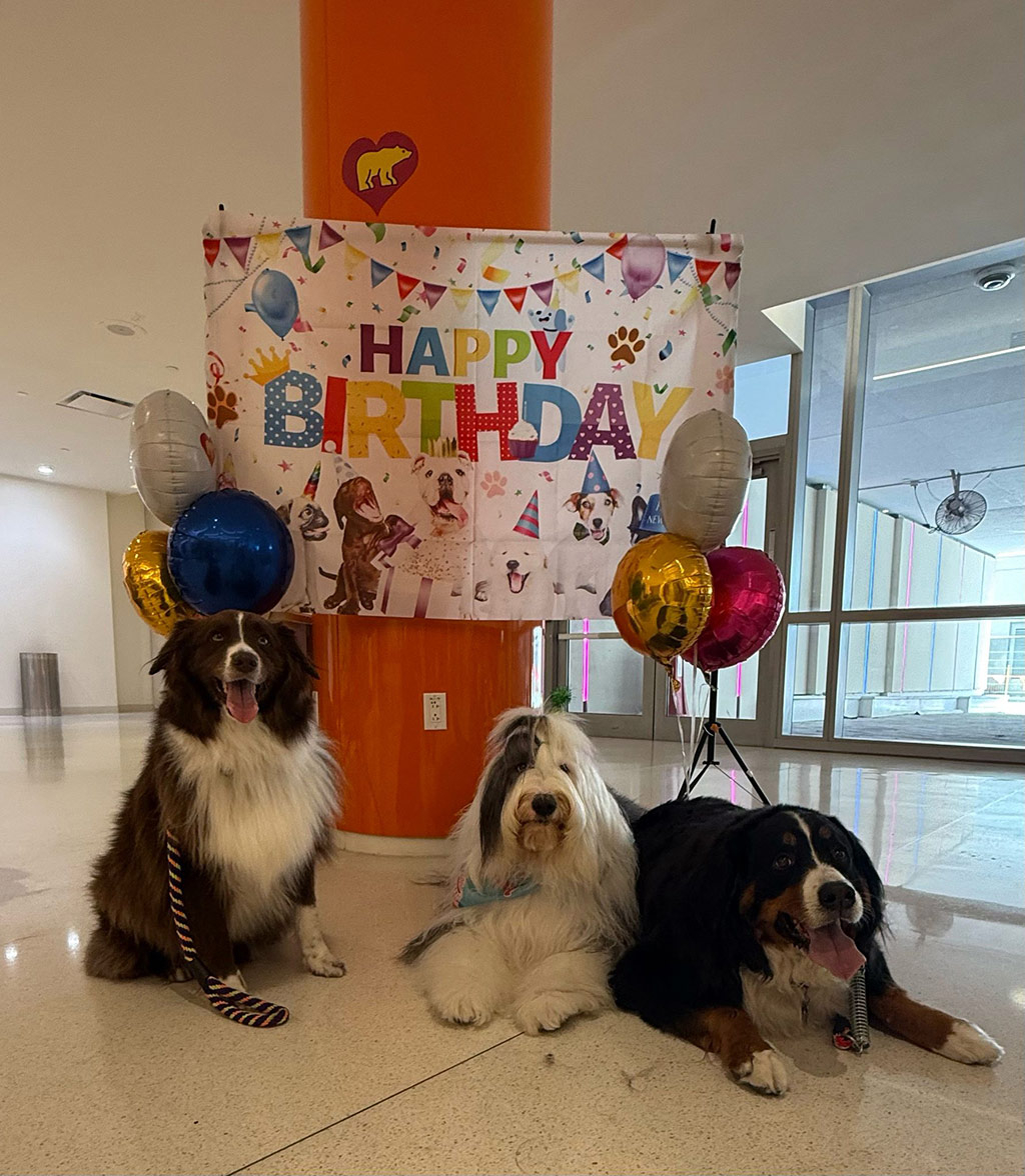  May 1, 2025 | Alexandra Ramos Therapy Animals