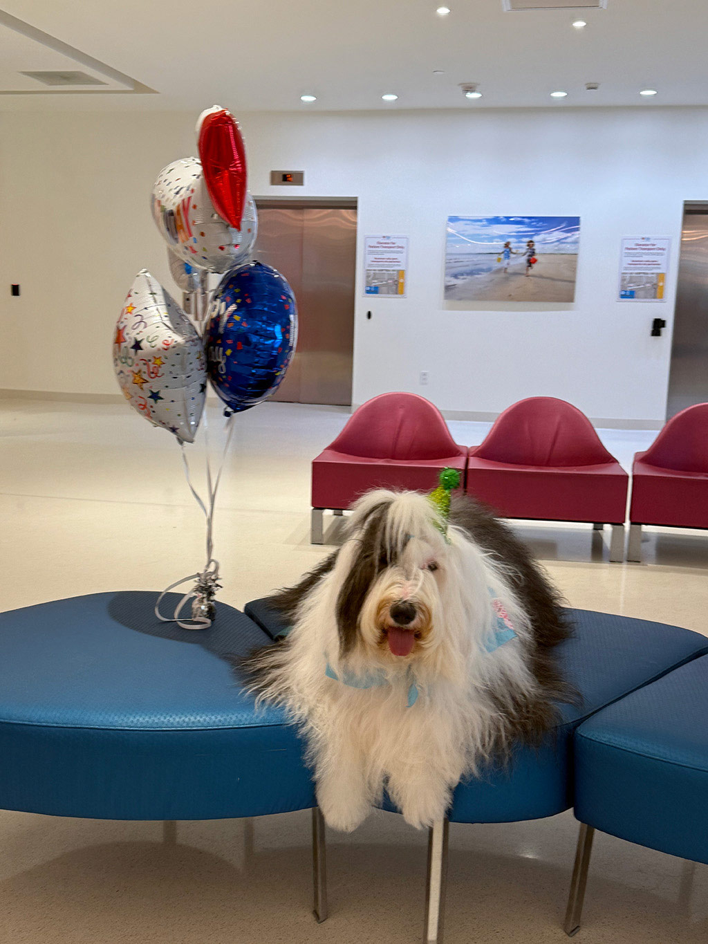  May 1, 2025 | Alexandra Ramos Therapy Animals