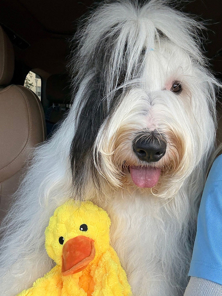  May 1, 2025 | Alexandra Ramos Therapy Animals