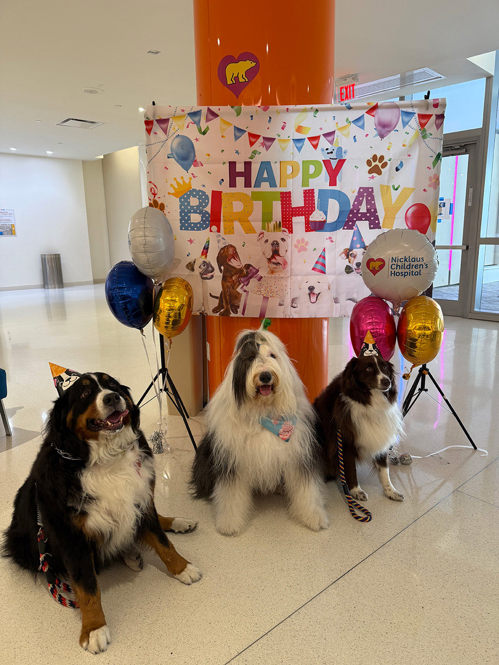  May 1, 2025 | Alexandra Ramos Therapy Animals