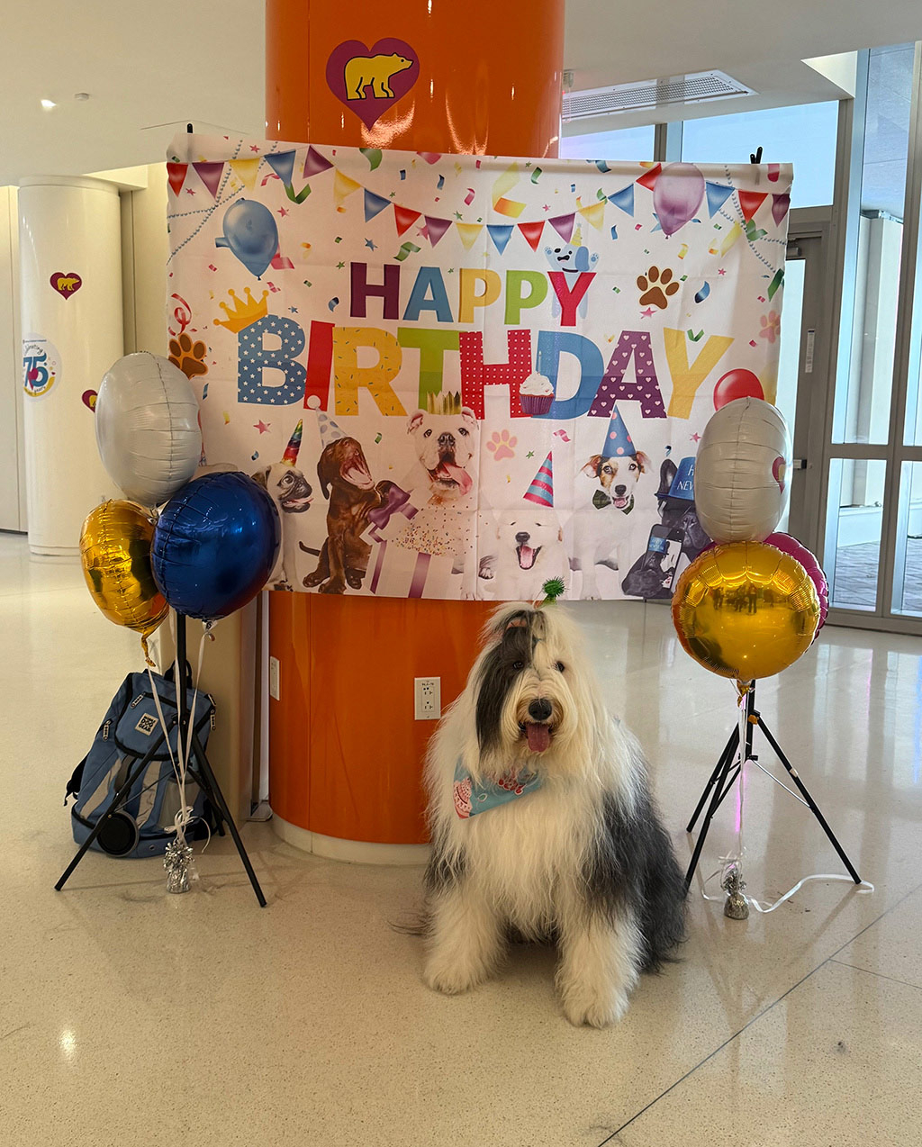  May 1, 2025 | Alexandra Ramos Therapy Animals