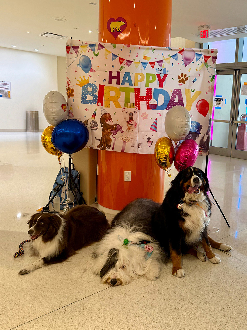  May 1, 2025 | Alexandra Ramos Therapy Animals