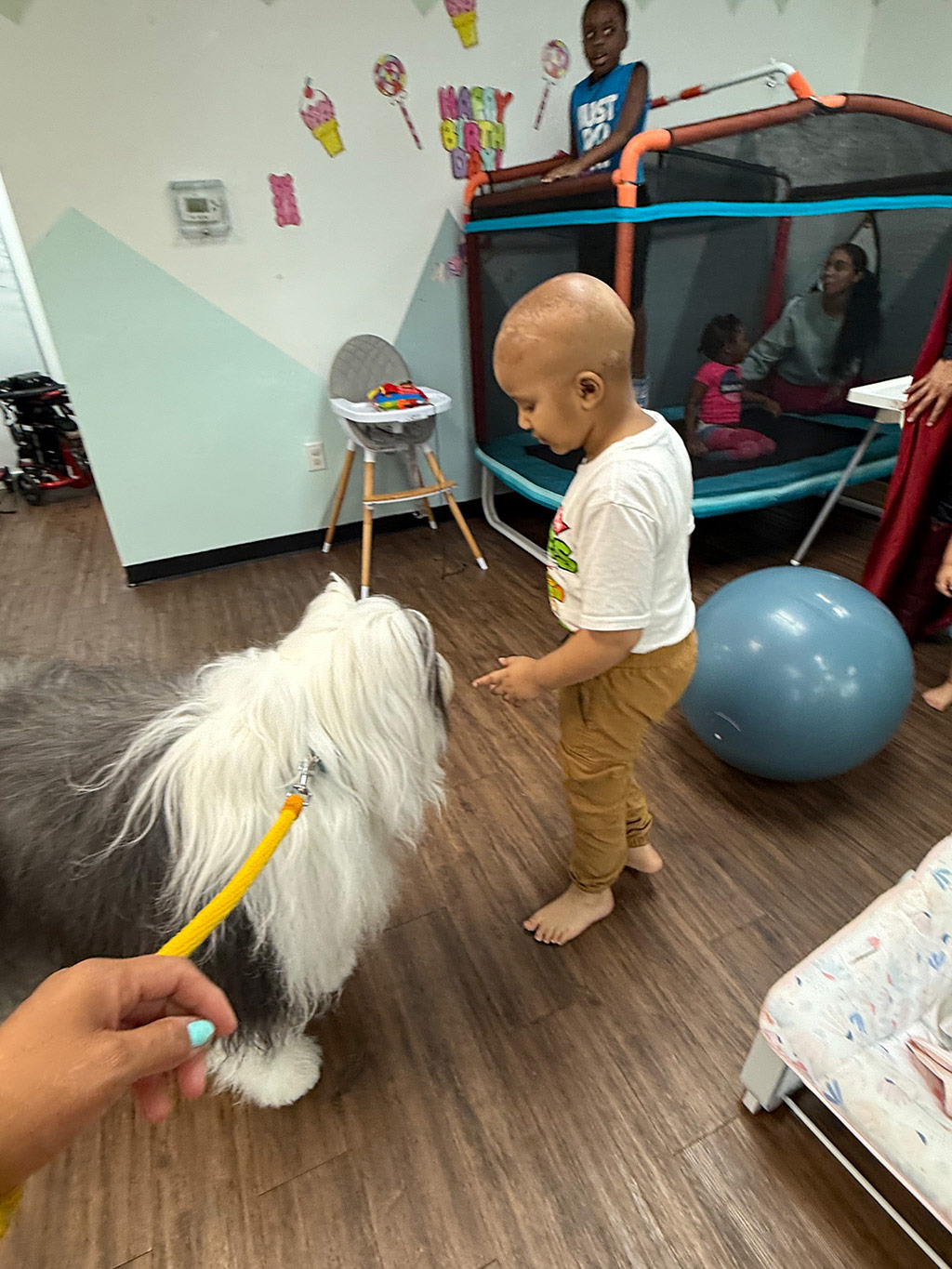 Thor visit Northstar PPEC Jun 13, 2025 | Alexandra Ramos Therapy Animals