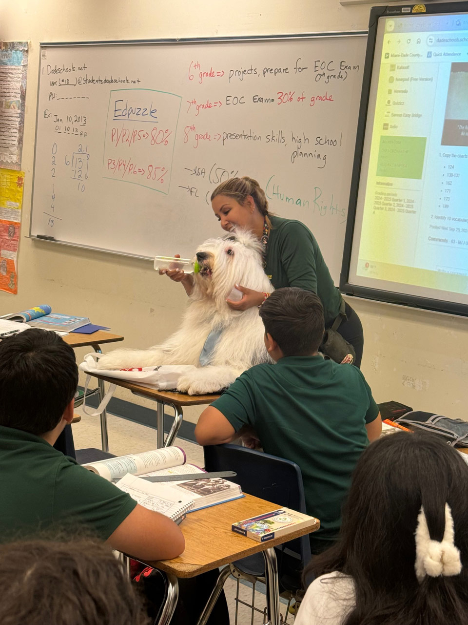 Thor visits Mamilamk8 School - Oct 2, 2024 | Alexandra Ramos Therapy Animals