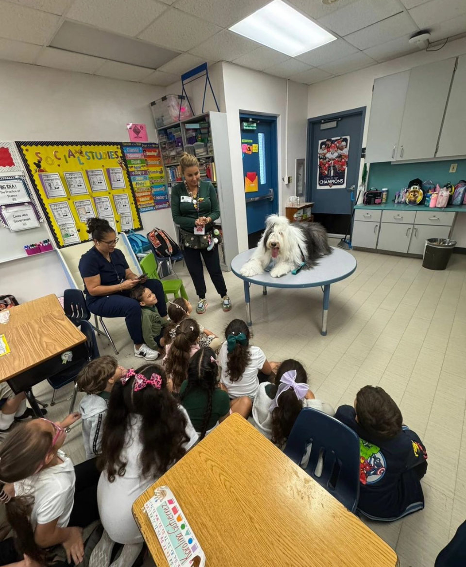 Thor visits Mamilamk8 School - Oct 2, 2024 | Alexandra Ramos Therapy Animals