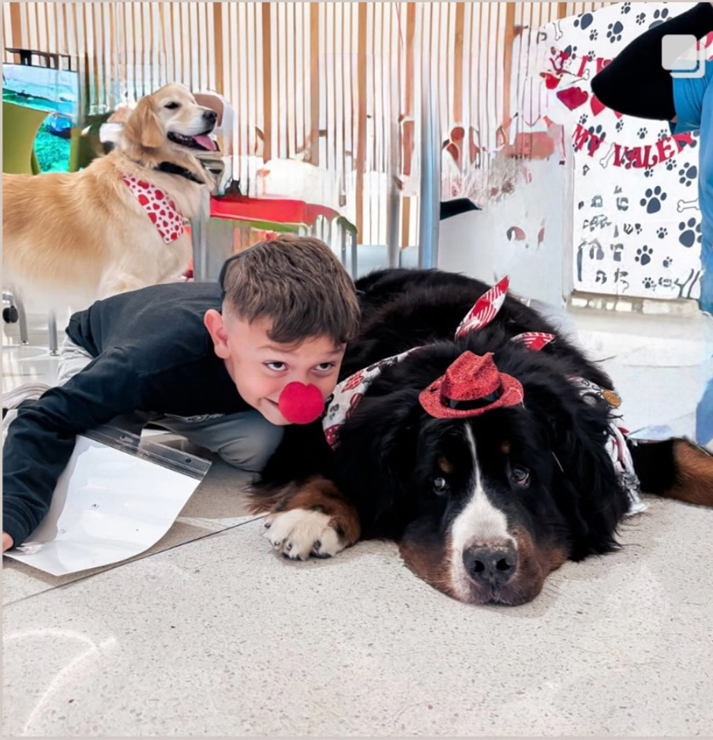  February 12, 2025 | Alexandra Ramos Therapy Animals