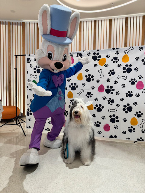 Thor at Nicklaus Children’s Hospital - April 4, 2024 | Ale Ramos Therapy Animals