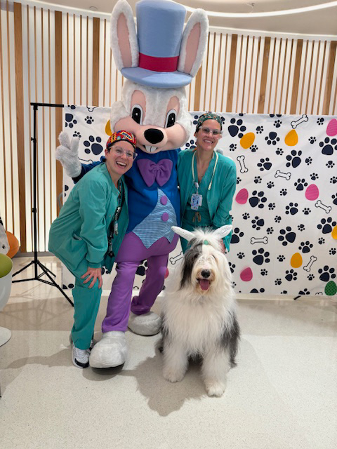 Thor at Nicklaus Children’s Hospital - April 4, 2024 | Ale Ramos Therapy Animals
