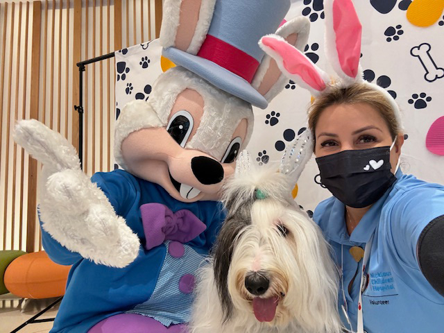 Thor at Nicklaus Children’s Hospital - April 4, 2024 | Ale Ramos Therapy Animals