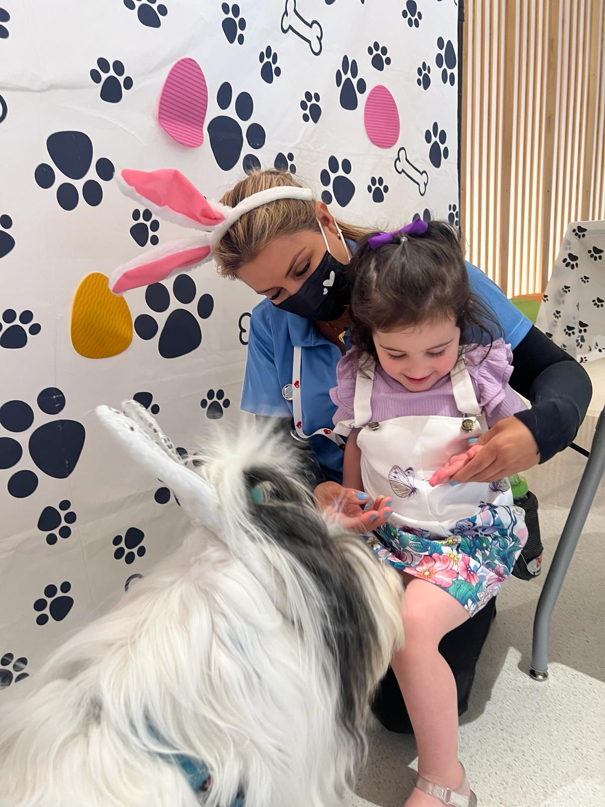 Thor at Nicklaus Children’s Hospital - April 4, 2024 | Ale Ramos Therapy Animals