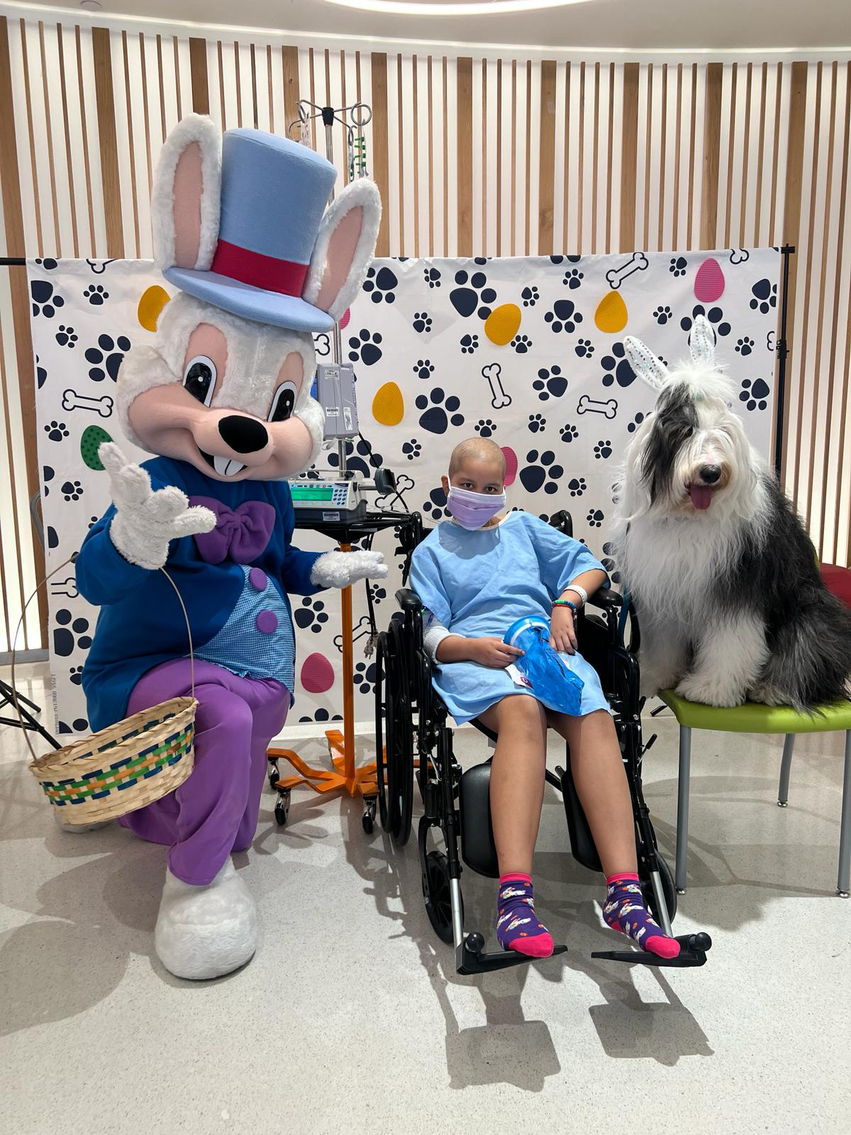 Thor at Nicklaus Children’s Hospital - April 4, 2024 | Ale Ramos Therapy Animals
