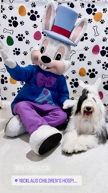 Thor at Nicklaus Children’s Hospital - April 4, 2024 | Ale Ramos Therapy Animals