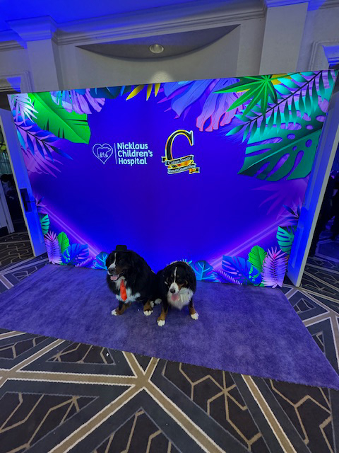 Prom Night by Nicklaus Children’s Hospital with the Therapy Dogs - April 13, 2024 | Ale Ramos Therapy Animals