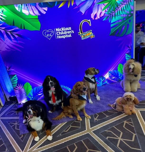 Prom Night by Nicklaus Children’s Hospital with the Therapy Dogs - April 13, 2024 | Ale Ramos Therapy Animals