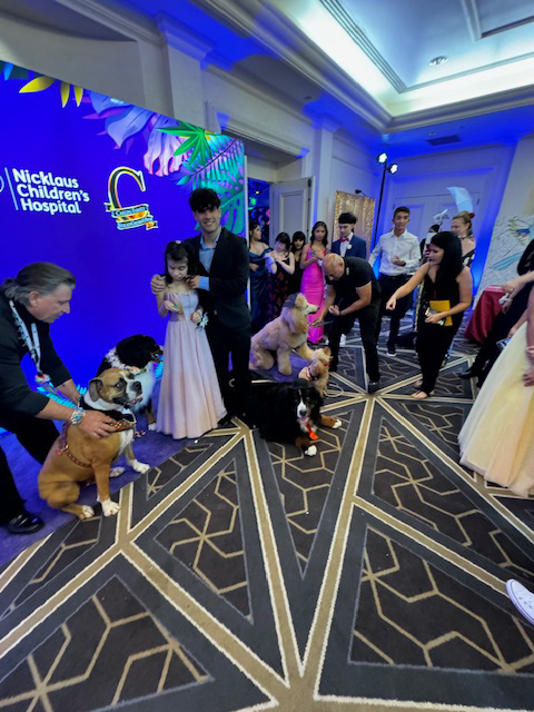 Prom Night by Nicklaus Children’s Hospital with the Therapy Dogs - April 13, 2024 | Ale Ramos Therapy Animals