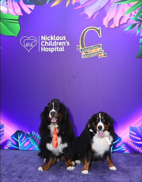 Prom Night by Nicklaus Children’s Hospital with the Therapy Dogs - April 13, 2024 | Ale Ramos Therapy Animals