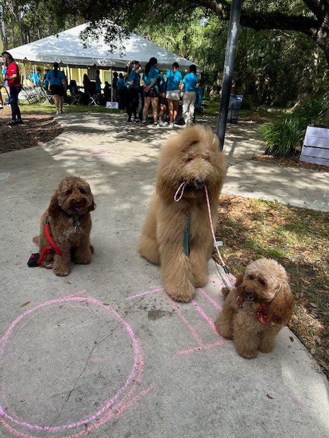VACC Camp BY Nicklaus Children’s Hospital with the Therapy Dogs - March 25, 2024 | Ale Ramos Therapy Animals