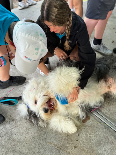 VACC Camp BY Nicklaus Children’s Hospital with the Therapy Dogs - March 25, 2024 | Ale Ramos Therapy Animals