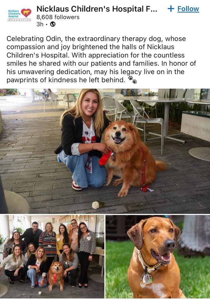 Odin celebration 2023 | Alexandra Ramos Therapy Animals