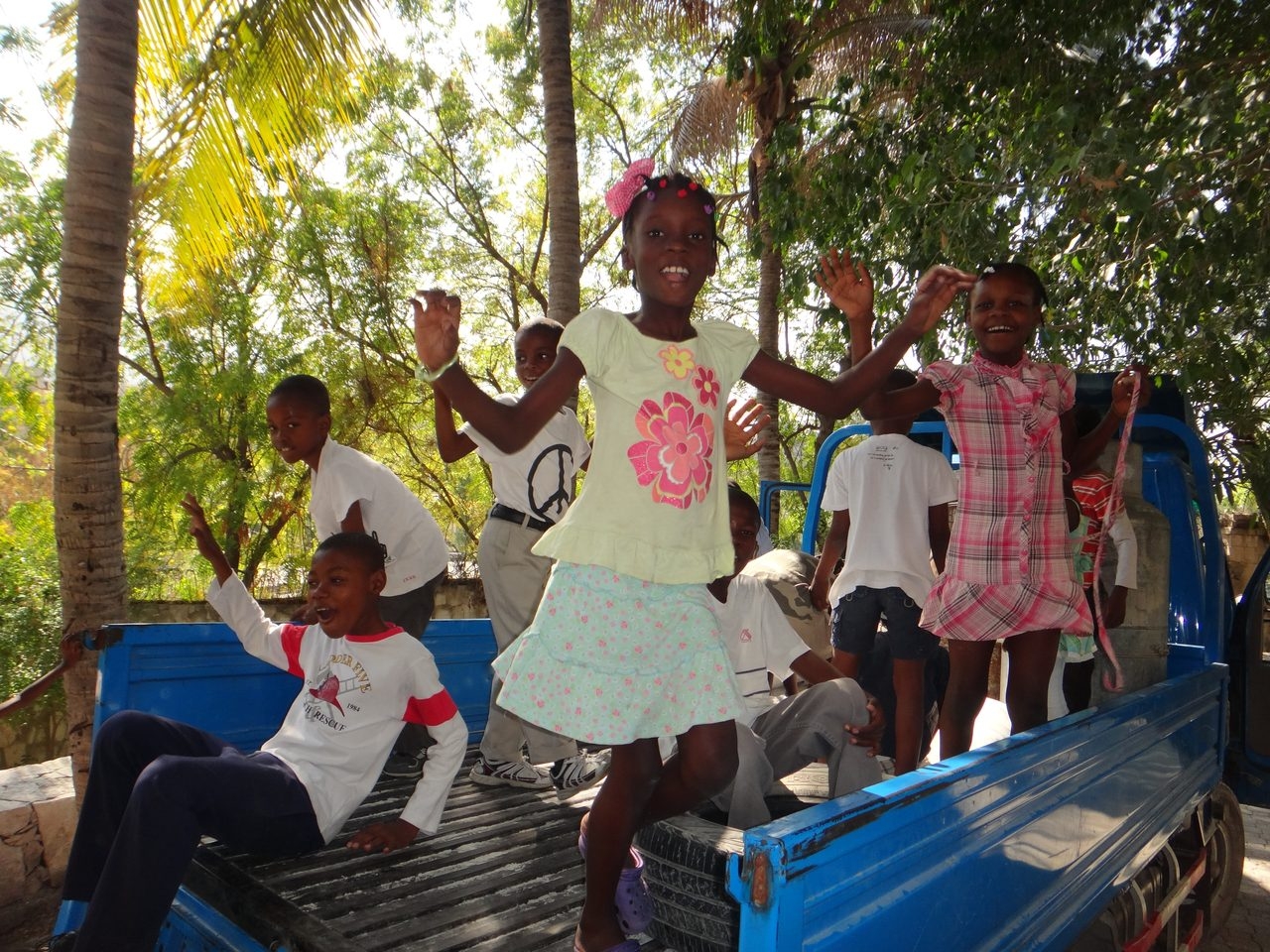 Haiti | Ale Ramos Therapy Animals
