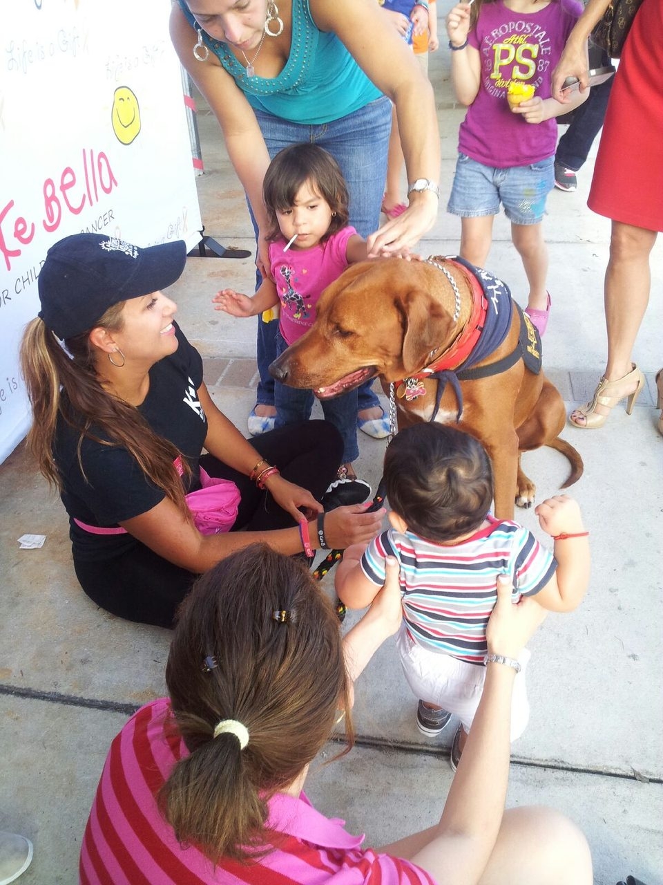 Live Like Bella Event, Miami | Ale Ramos Therapy Animals