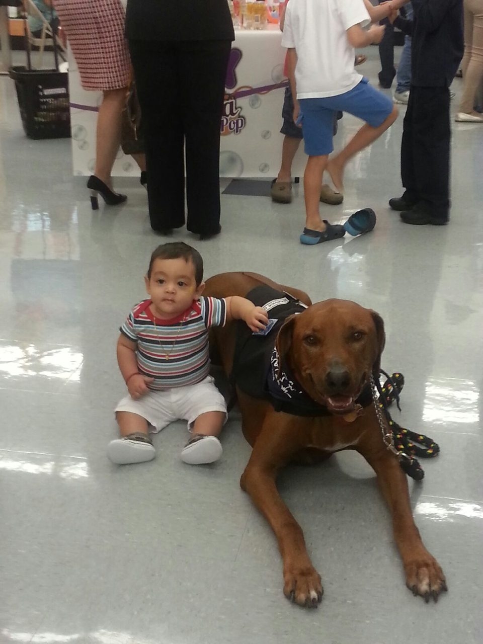 Live Like Bella Event, Miami | Ale Ramos Therapy Animals