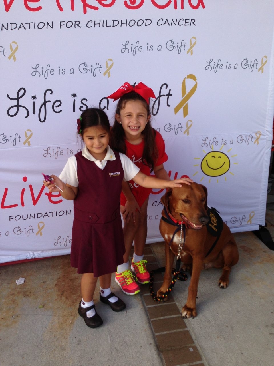 Live Like Bella Event, Miami | Ale Ramos Therapy Animals