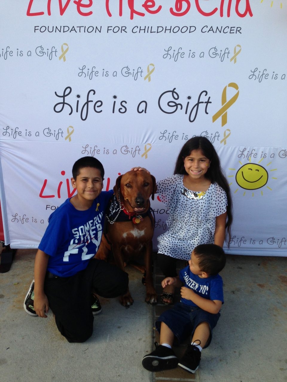 Live Like Bella Event, Miami | Ale Ramos Therapy Animals