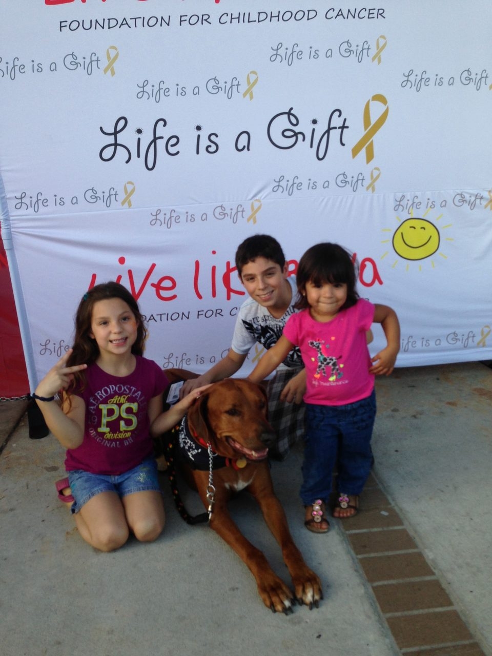 Live Like Bella Event, Miami | Ale Ramos Therapy Animals