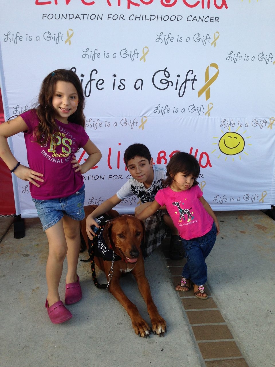 Live Like Bella Event, Miami | Ale Ramos Therapy Animals