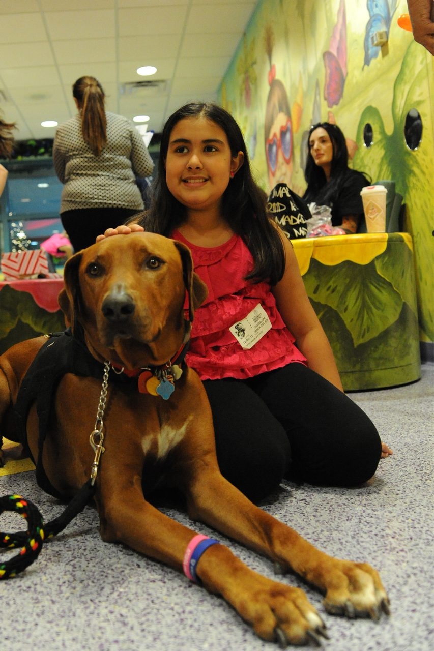 Visit at Miami Children’s Hospital by Julian Gil (Univision) | Ale Ramos Therapy Animals
