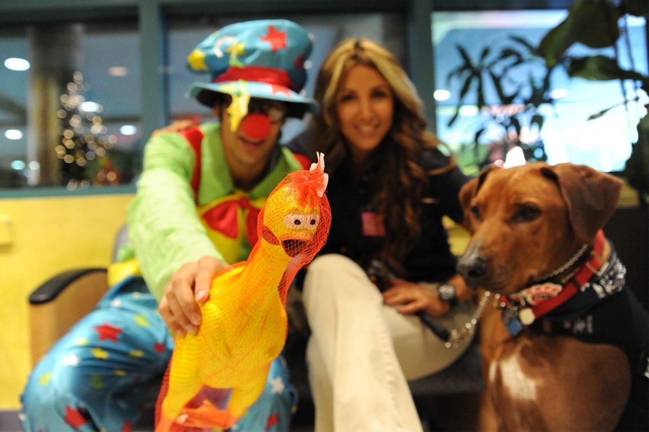 Visit at Miami Children’s Hospital by Julian Gil (Univision) | Ale Ramos Therapy Animals