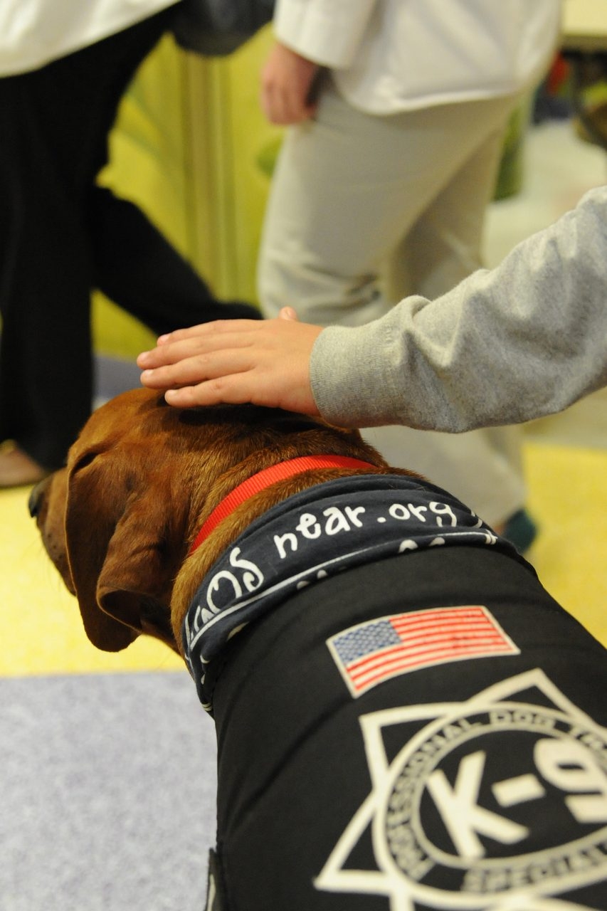 Visit at Miami Children’s Hospital by Julian Gil (Univision) | Ale Ramos Therapy Animals
