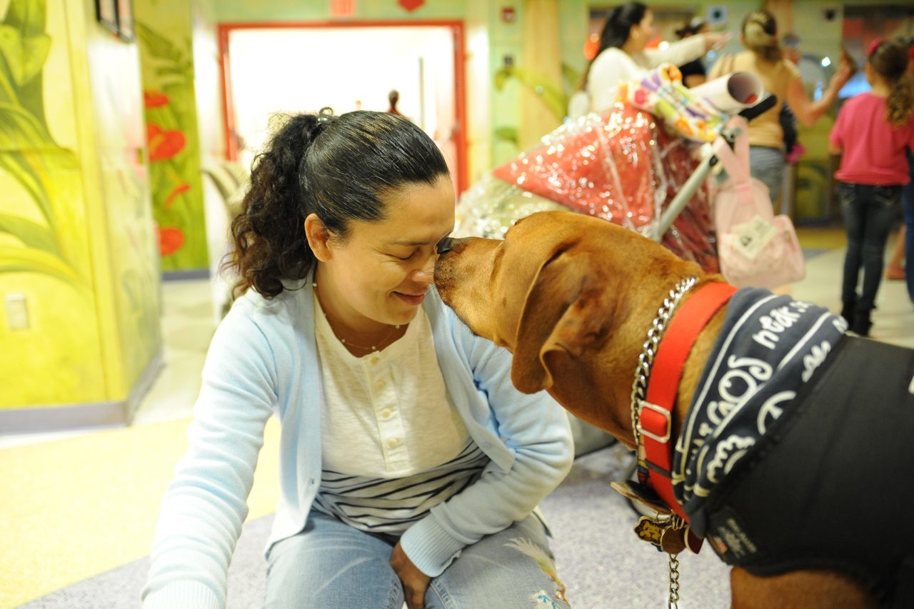 Visit at Miami Children’s Hospital by Julian Gil (Univision) | Ale Ramos Therapy Animals