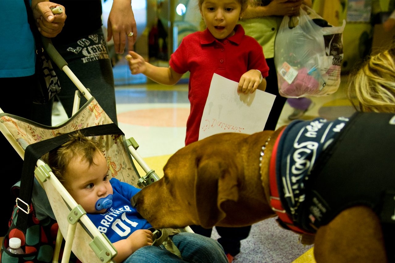 Visit at Miami Children’s Hospital by Julian Gil (Univision) | Ale Ramos Therapy Animals