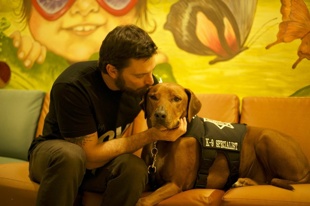 Visit at Miami Children’s Hospital by Julian Gil (Univision) | Ale Ramos Therapy Animals