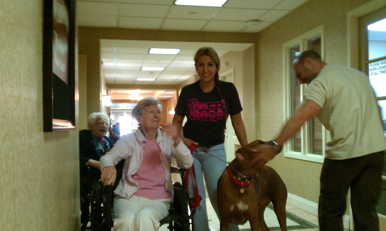 Visit Home Palace | Ale Ramos Therapy Animals