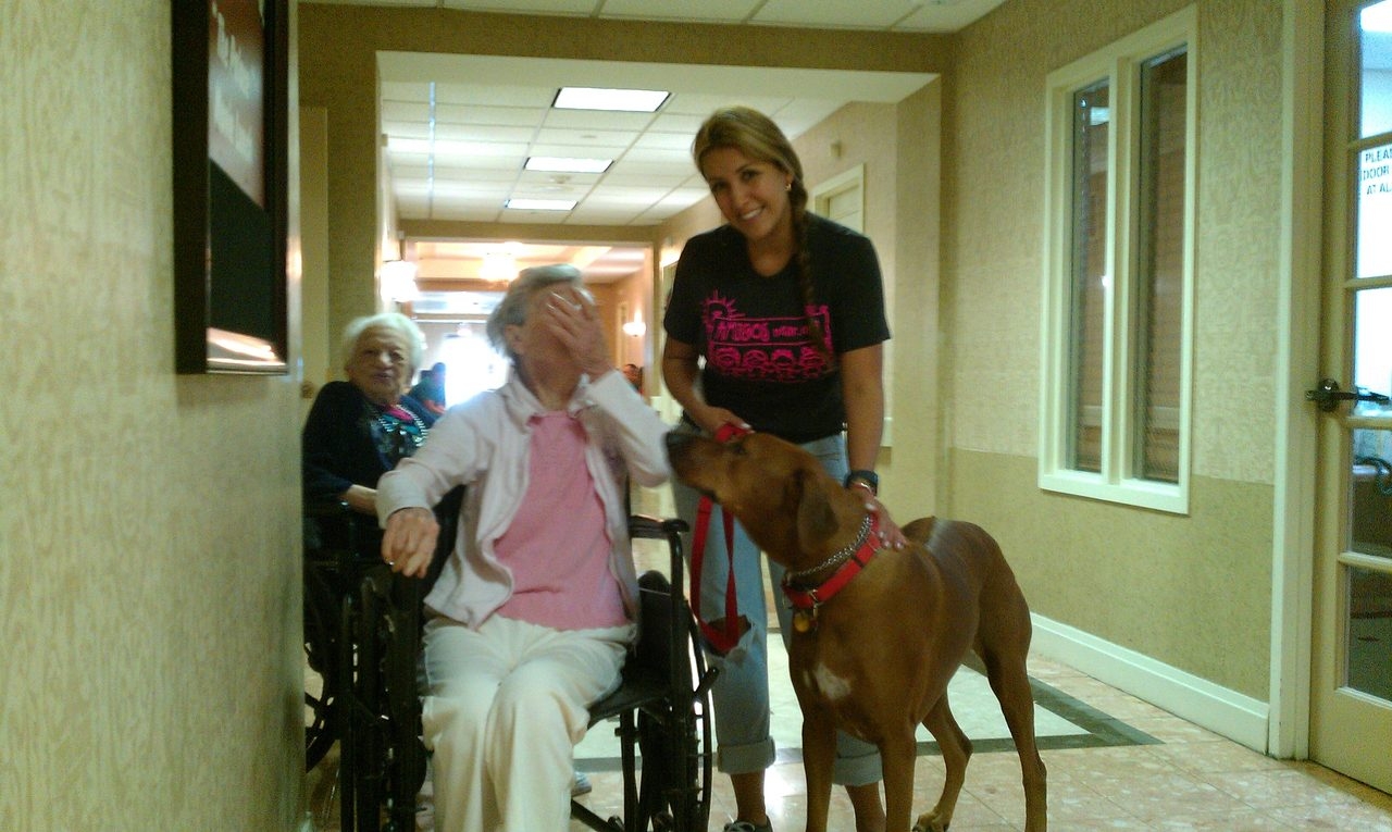 Visit Home Palace | Ale Ramos Therapy Animals