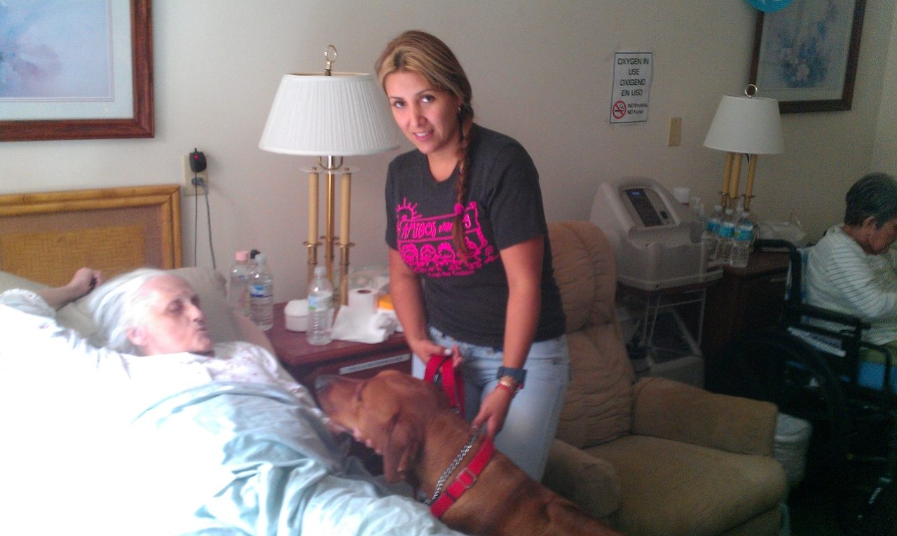 Visit Home Palace | Ale Ramos Therapy Animals