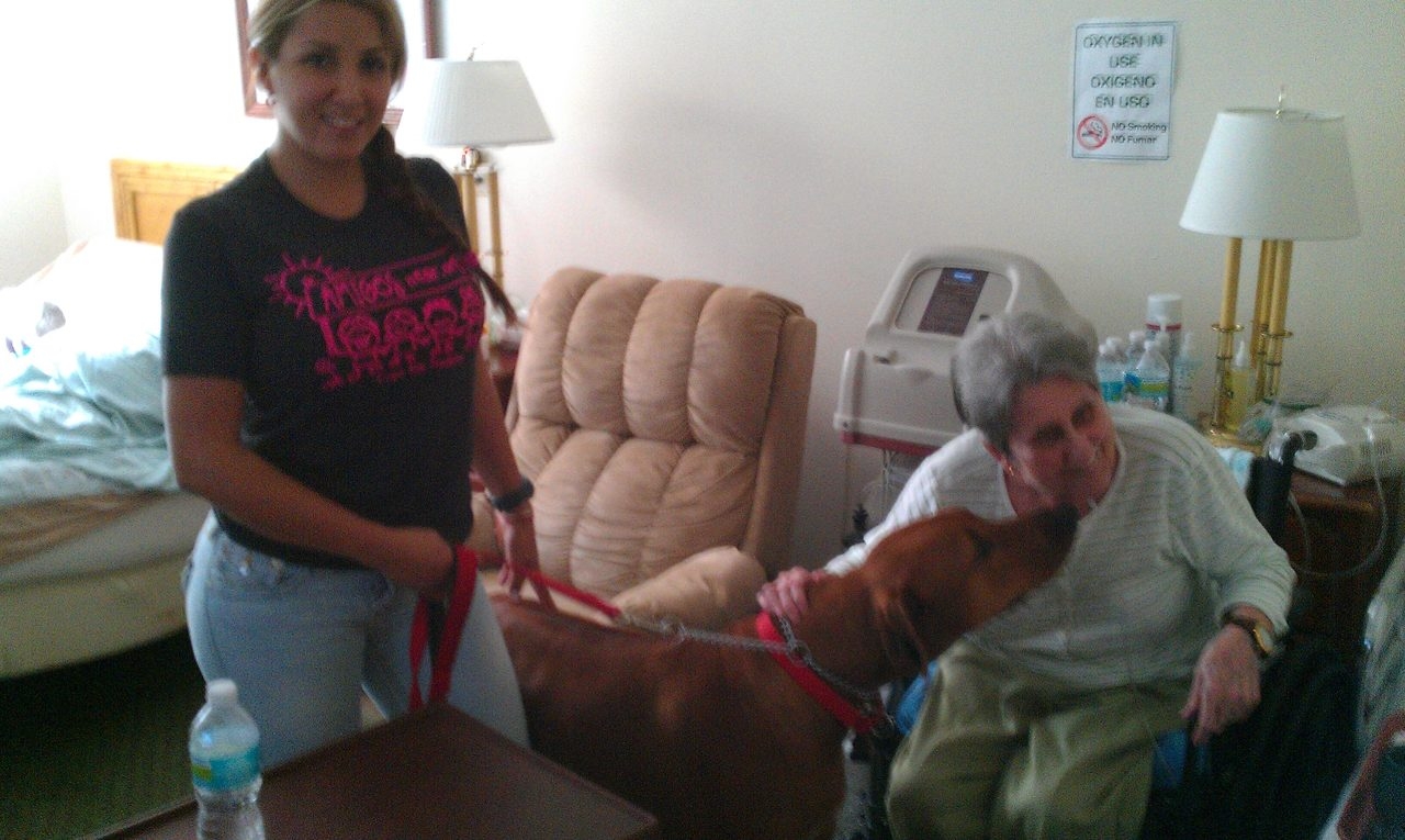 Visit Home Palace | Ale Ramos Therapy Animals