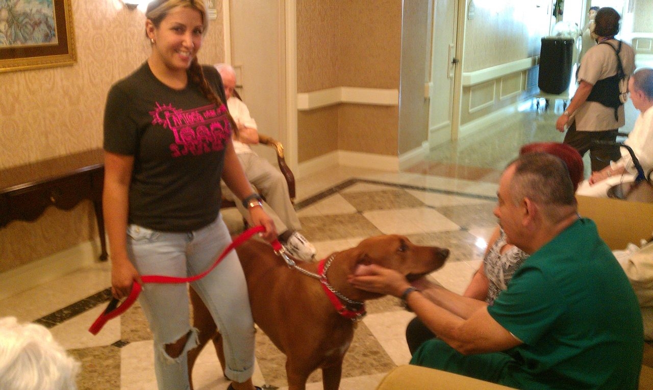 Visit Home Palace | Ale Ramos Therapy Animals