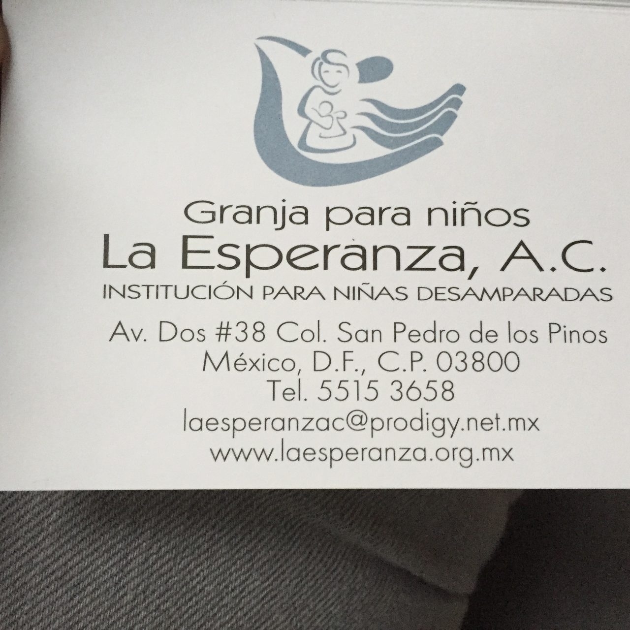 México | Ale Ramos Therapy Animals