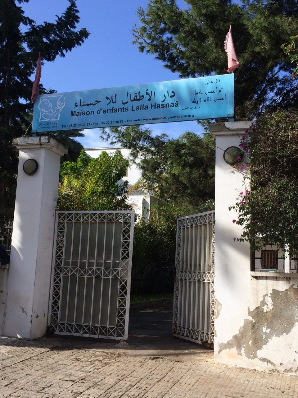 Visit Casablanca - Marruecos | Ale Ramos Therapy Animals