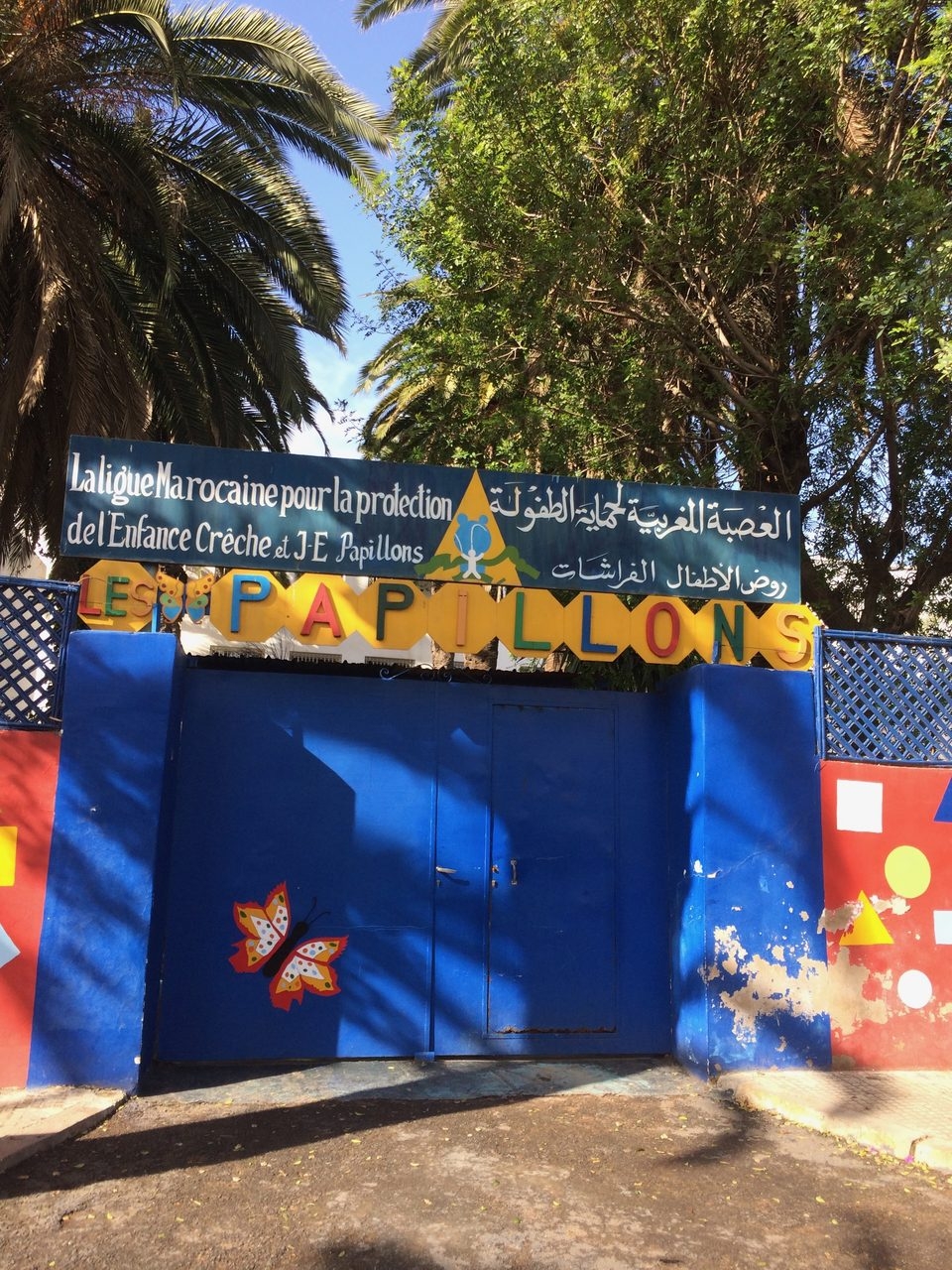 Visit Casablanca - Marruecos | Ale Ramos Therapy Animals