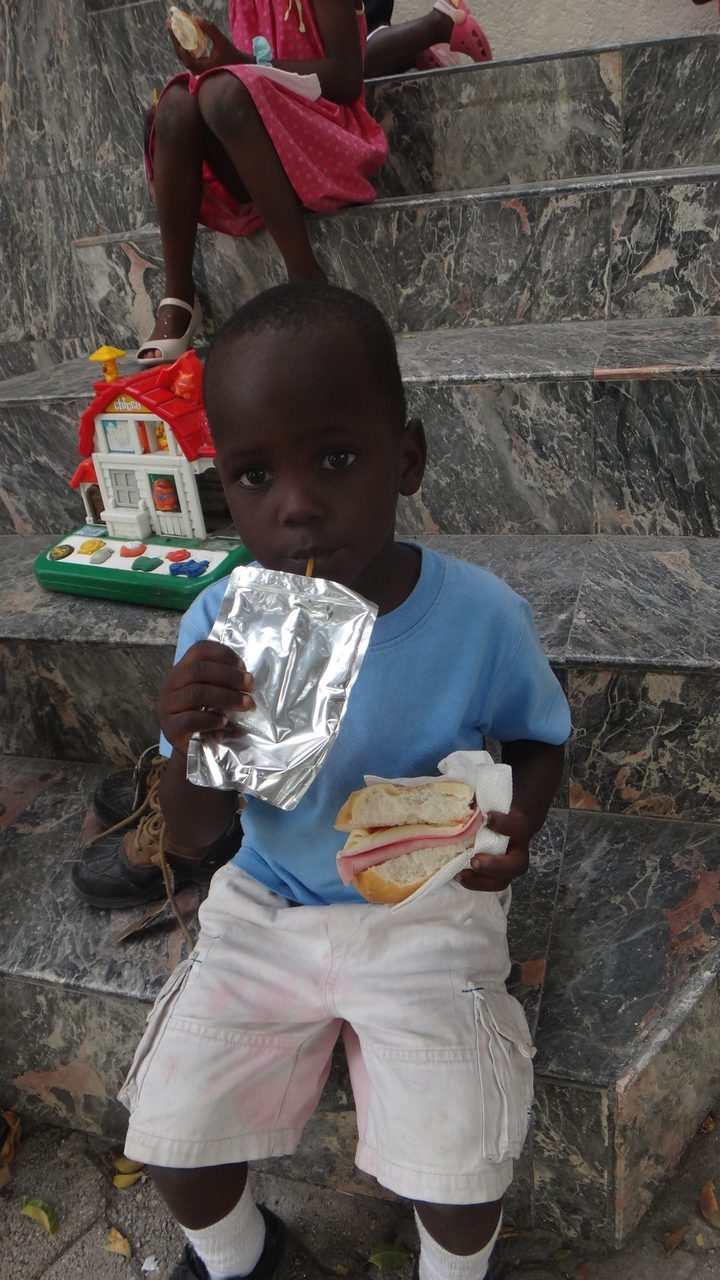 Visit Haiti | Ale Ramos Therapy Animals