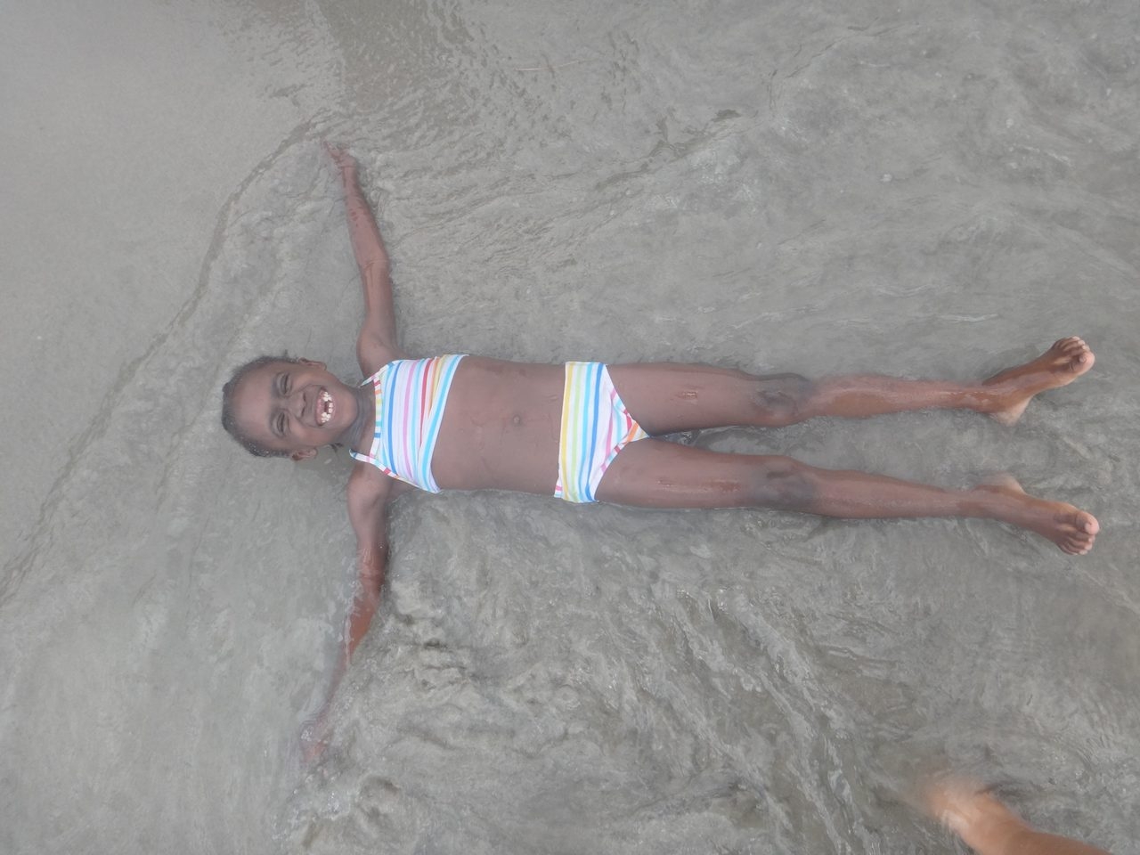 Visit Haiti | Ale Ramos Therapy Animals