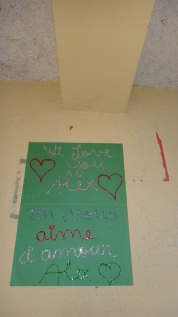 Visit Haiti | Ale Ramos Therapy Animals