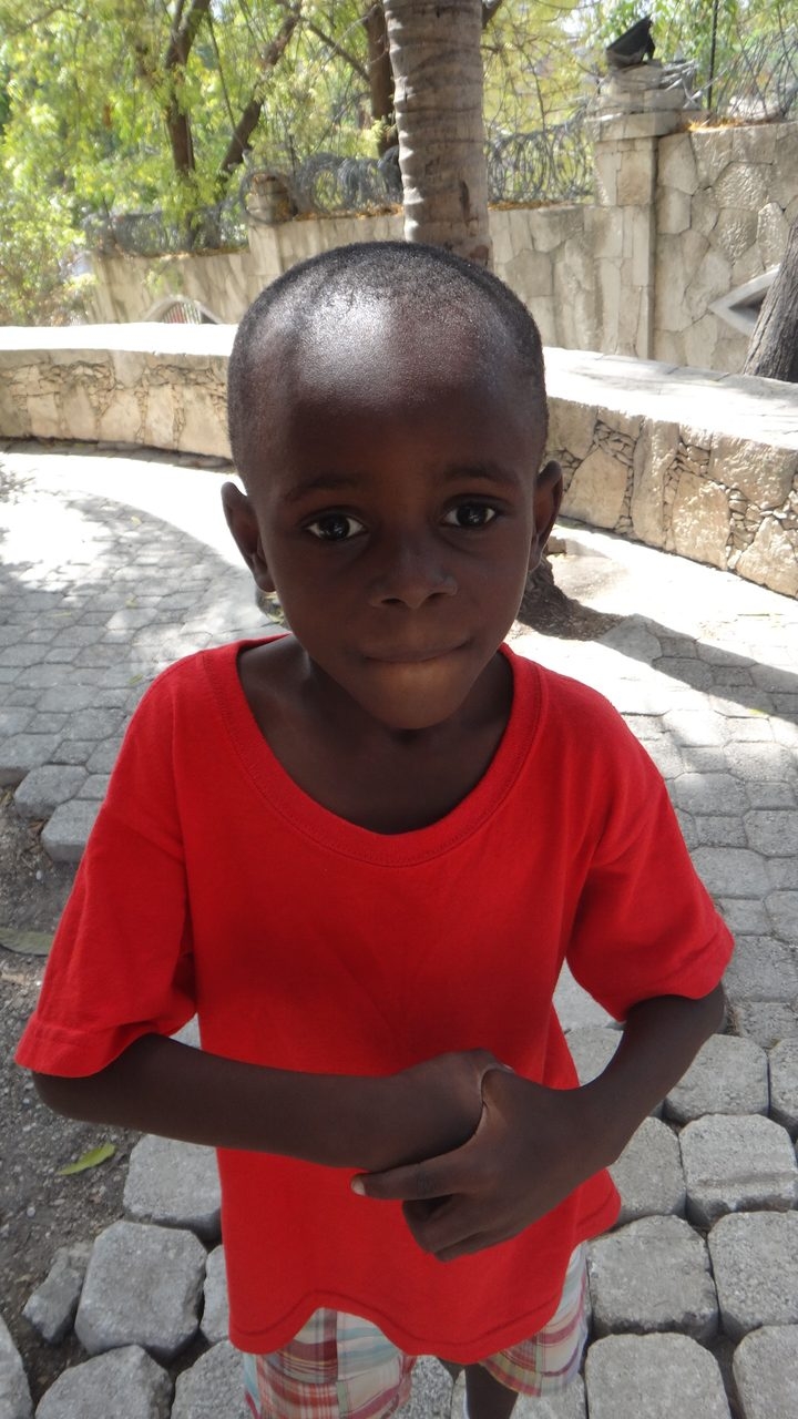 Visit Haiti | Ale Ramos Therapy Animals