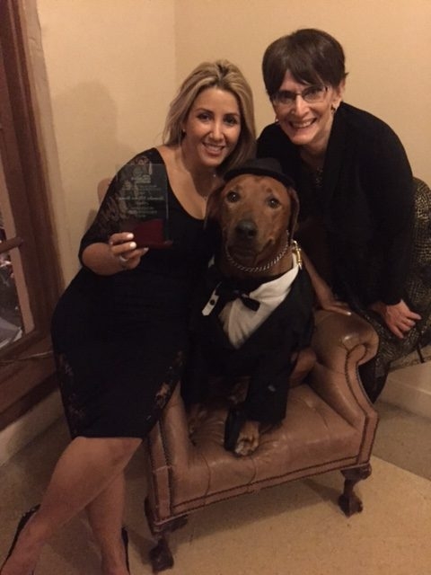 Bruno Gala | Ale Ramos Therapy Animals